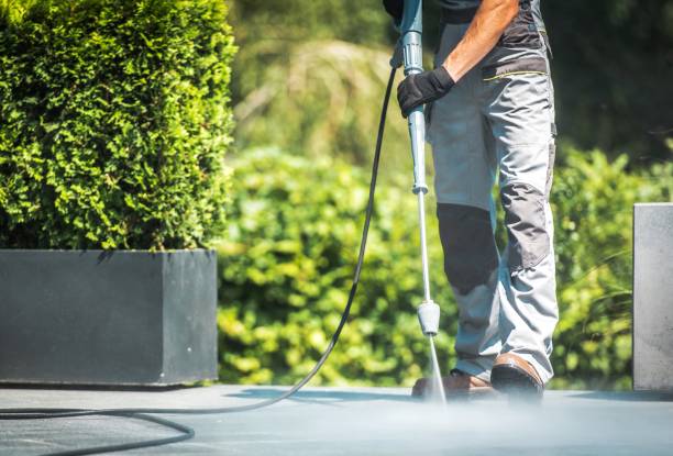 Best Warehouse Cleaning  in Mount Prospect, IL