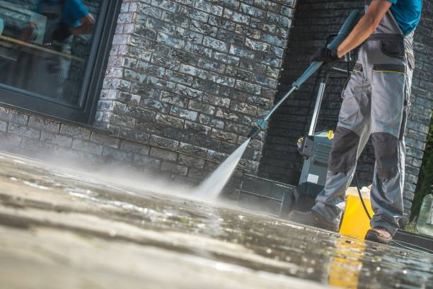 Best Animal Enclosure Cleaning  in Mount Prospect, IL