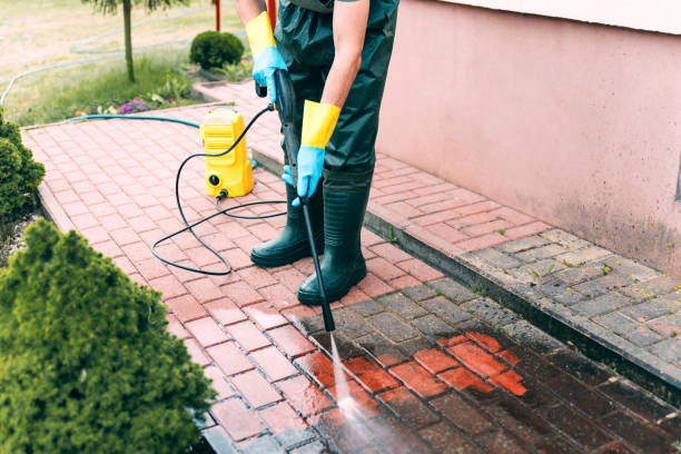 Professional Pressure Washing Services in Mount Prospect, IL